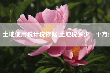 土地使用税计税依据(土地税多少一平方)