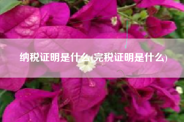 纳税证明是什么(完税证明是什么)