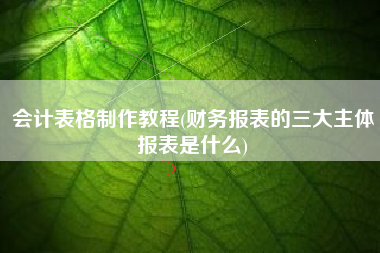会计表格制作教程(财务报表的三大主体报表是什么)