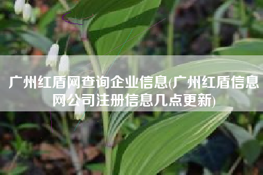 广州红盾网查询企业信息(广州红盾信息网公司注册信息几点更新)