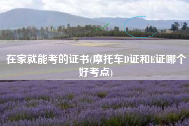 在家就能考的证书(摩托车D证和E证哪个好考点)
