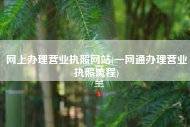 网上办理营业执照网站(一网通办理营业执照流程)