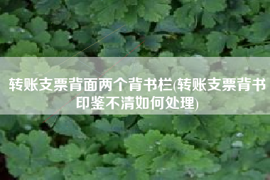 转账支票背面两个背书栏(转账支票背书印鉴不清如何处理)