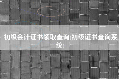 初级会计证书领取查询(初级证书查询系统)