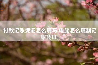 付款记账凭证怎么填写(电脑怎么填制记账凭证)