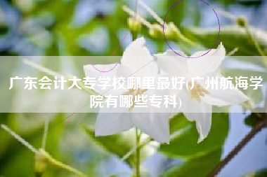 广东会计大专学校哪里最好(广州航海学院有哪些专科)
