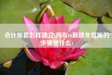 会计账套怎样建立(用友t6新建年度账的步骤是什么)