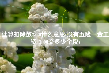 速算扣除数2520什么意思(没有五险一金工资13000交多少个税)