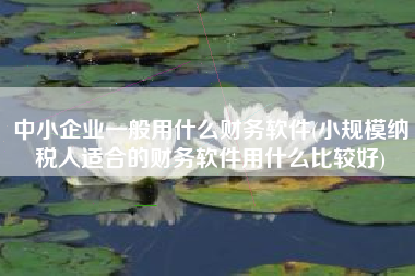 中小企业一般用什么财务软件(小规模纳税人适合的财务软件用什么比较好)