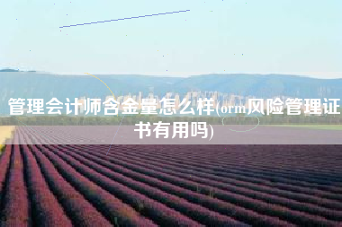 管理会计师含金量怎么样(orm风险管理证书有用吗)