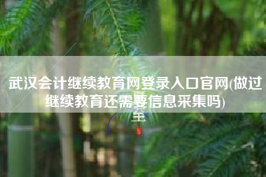 武汉会计继续教育网登录入口官网(做过继续教育还需要信息采集吗)