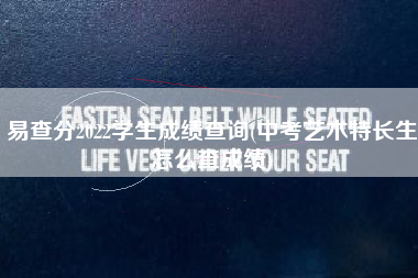 易查分2022学生成绩查询(中考艺术特长生怎么查成绩)