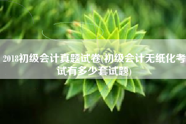 2018初级会计真题试卷(初级会计无纸化考试有多少套试题)