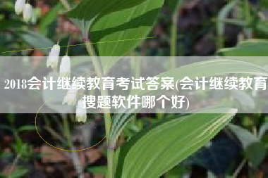 2018会计继续教育考试答案(会计继续教育搜题软件哪个好)