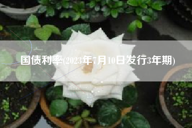 国债利率(2023年7月10日发行3年期)