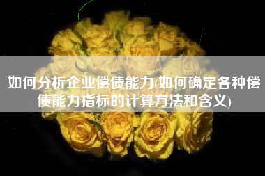 如何分析企业偿债能力(如何确定各种偿债能力指标的计算方法和含义)