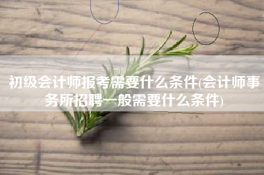 初级会计师报考需要什么条件(会计师事务所招聘一般需要什么条件)