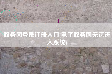 政务网登录注册入口(电子政务网无法进入系统)