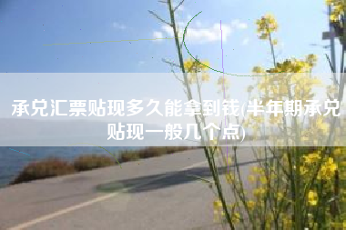 承兑汇票贴现多久能拿到钱(半年期承兑贴现一般几个点)