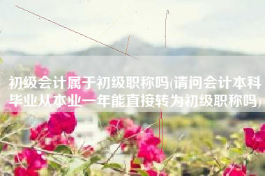 初级会计属于初级职称吗(请问会计本科毕业从本业一年能直接转为初级职称吗)