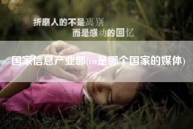 国家信息产业部(cn是哪个国家的媒体)