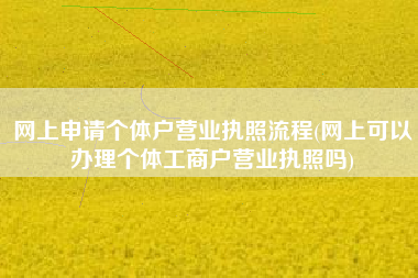 网上申请个体户营业执照流程(网上可以办理个体工商户营业执照吗)