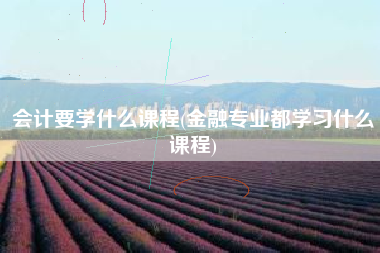 会计要学什么课程(金融专业都学习什么课程)