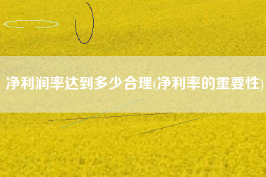 净利润率达到多少合理(净利率的重要性)