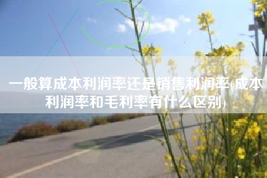 一般算成本利润率还是销售利润率(成本利润率和毛利率有什么区别)