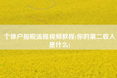 个体户报税流程视频教程(你的第二收入是什么)