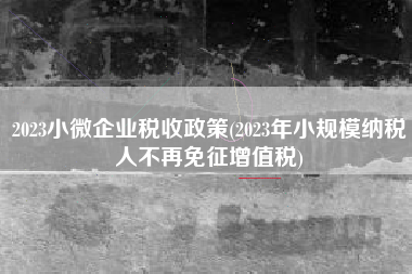 2023小微企业税收政策(2023年小规模纳税人不再免征增值税)