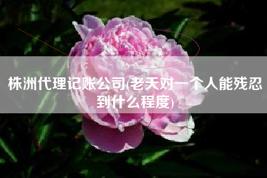 株洲代理记账公司(老天对一个人能残忍到什么程度)