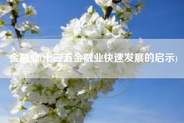 金融业(十三五金融业快速发展的启示)