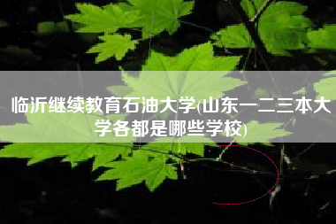 临沂继续教育石油大学(山东一二三本大学各都是哪些学校)