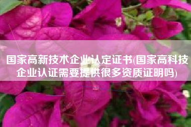 国家高新技术企业认定证书(国家高科技企业认证需要提供很多资质证明吗)