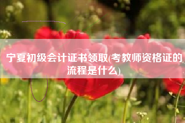 宁夏初级会计证书领取(考教师资格证的流程是什么)