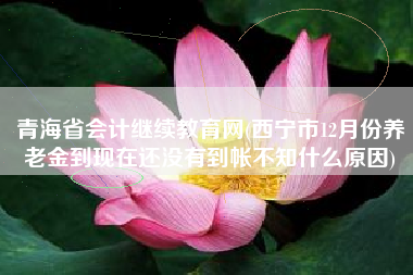 青海省会计继续教育网(西宁市12月份养老金到现在还没有到帐不知什么原因)