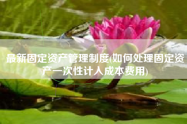 最新固定资产管理制度(如何处理固定资产一次性计入成本费用)