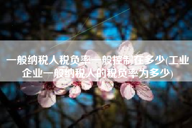 一般纳税人税负率一般控制在多少(工业企业一般纳税人的税负率为多少)