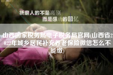 山西国家税务局电子税务局官网(山西省2022年城乡居民补充养老保险微信怎么不能缴)
