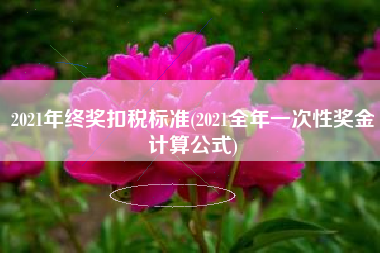 2021年终奖扣税标准(2021全年一次性奖金计算公式)