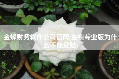 金蝶财务软件公司官网(金蝶专业版为什么不能登陆)