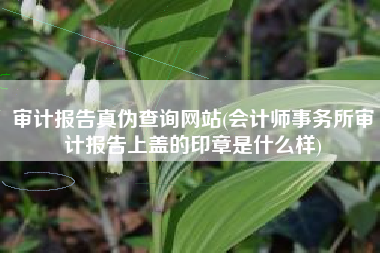 审计报告真伪查询网站(会计师事务所审计报告上盖的印章是什么样)