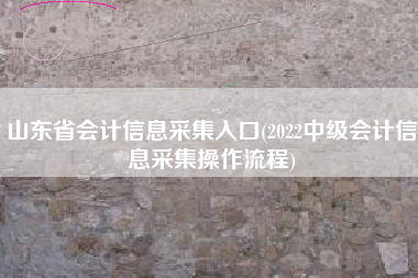 山东省会计信息采集入口(2022中级会计信息采集操作流程)