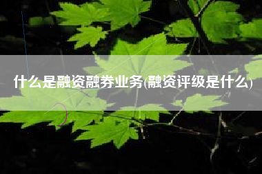 什么是融资融券业务(融资评级是什么)