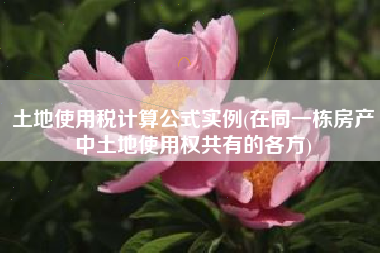 土地使用税计算公式实例(在同一栋房产中土地使用权共有的各方)