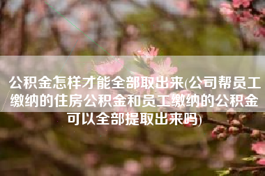 公积金怎样才能全部取出来(公司帮员工缴纳的住房公积金和员工缴纳的公积金可以全部提取出来吗)