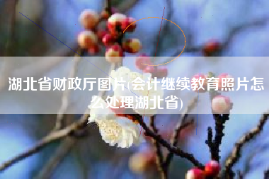 湖北省财政厅图片(会计继续教育照片怎么处理湖北省)