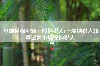 小规模强制转一般纳税人(一般纳税人转登记为小规模纳税人)