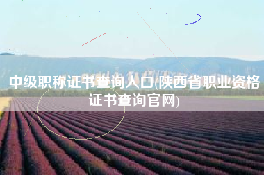 中级职称证书查询入口(陕西省职业资格证书查询官网)